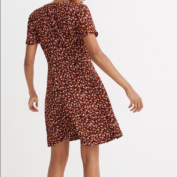 Madewell V-neck Button-Front Dress: Spring Prairie - Picture 2 of 5